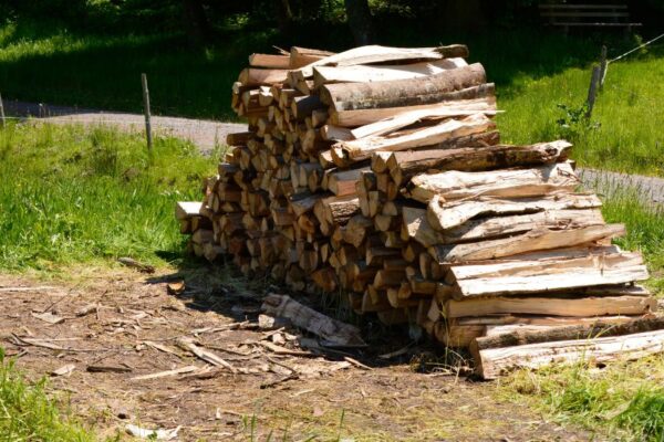 Best Hardwood Firewood in Denver
