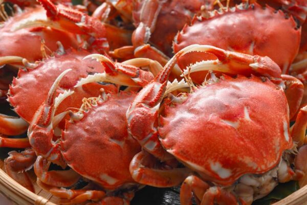 Savor the Best Crab in Baltimore