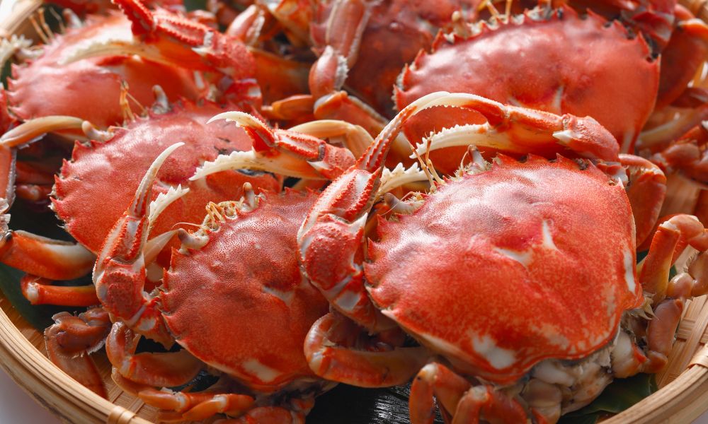Savor the Best Crab in Baltimore